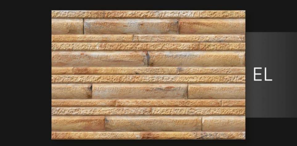 Women's Leather Jacket