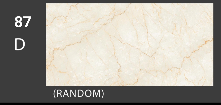 Women's Leather Jacket